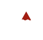 Vision Icon